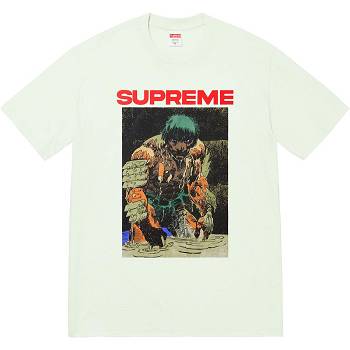 Mint Supreme Ronin Tee T Shirts | MY238KI